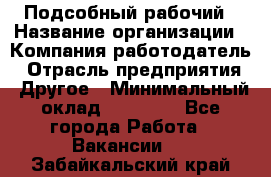 Подсобный рабочий › Название организации ­ Компания-работодатель › Отрасль предприятия ­ Другое › Минимальный оклад ­ 15 000 - Все города Работа » Вакансии   . Забайкальский край
